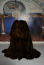 XXXL Riesen-Lammfellteppich Braun | 250 x 220 cm aus 8 Fellen
